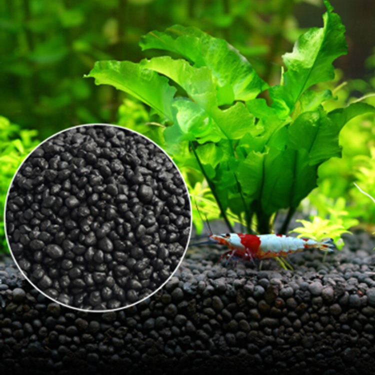 Aquarium Marine Plants - Aquarium Pflanzen Samen Boden Fishtank Substrat