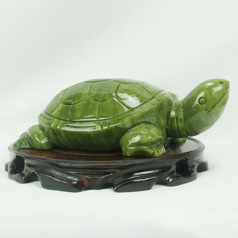 Natürliche Jade/Schildkröte Sk – Marine Aquarium All In One Bewertung und Preis