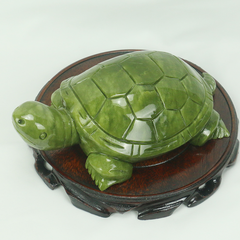 Natürliche Jade/Schildkröte Sk – Marine Aquarium All In One Bewertung und Preis