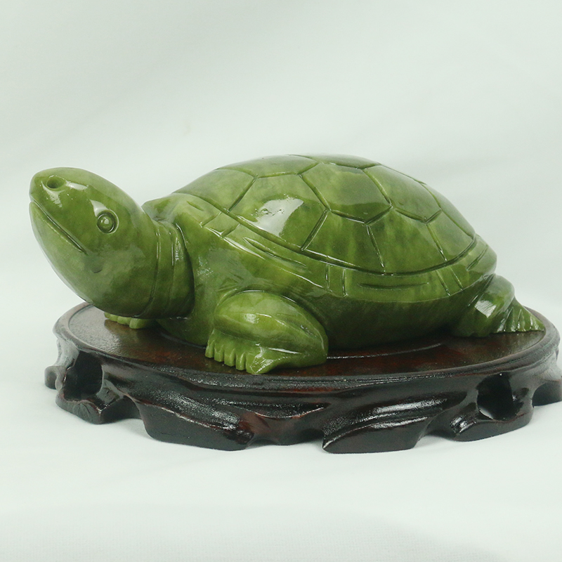 Natürliche Jade/Schildkröte Sk – Marine Aquarium All In One Bewertung und Preis