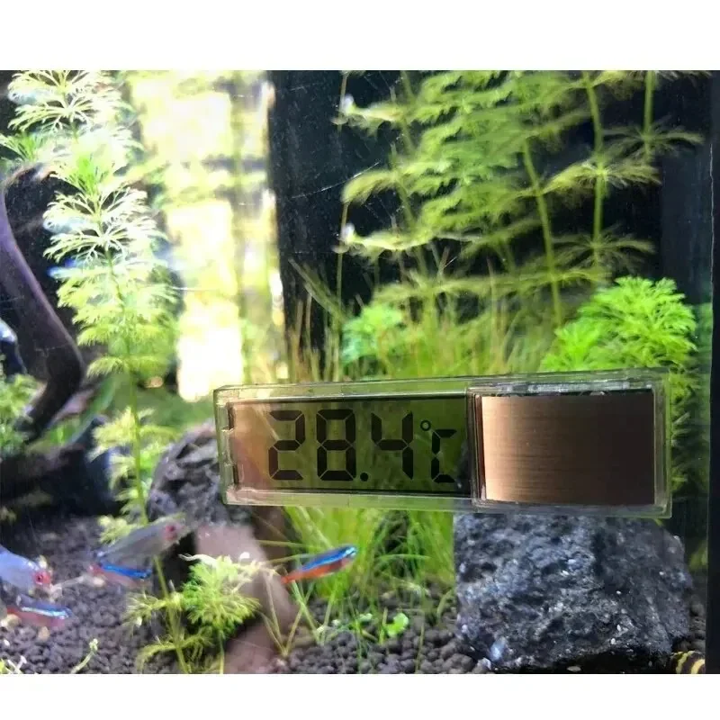 Digitales LCD-Aquariumthermome – Marine Aquarium Hydrometer Bewertung und Preis