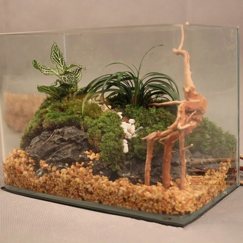 Natürlicher Baumstamm Treibhol – Marine Aquarium All In One Bewertung und Preis