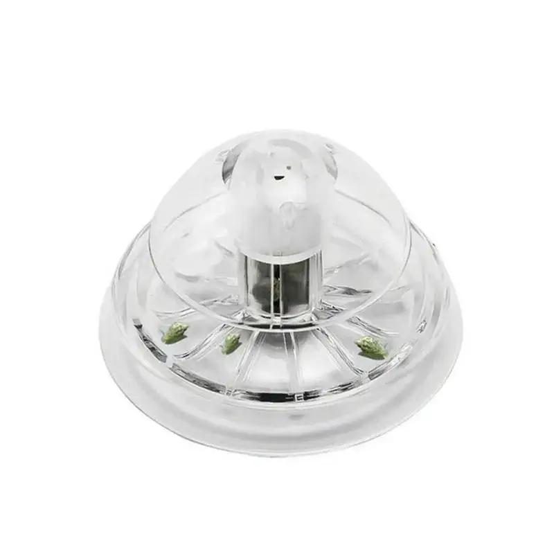 2026 Neu 6/8CM Klare Plastik-S – Aquarium Marine Plants Bewertung und Preis