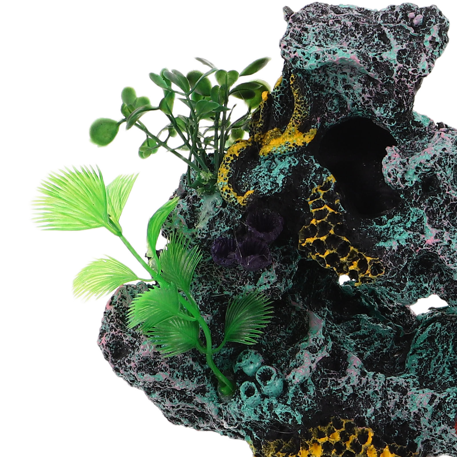 2 Stück Aquarium-Korallenriff- – Marine Life Aquariums Bewertung und Preis