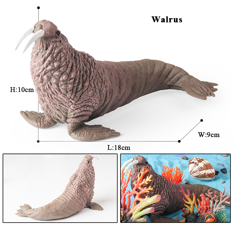 Oenux Neue Meereslebewesen-Mod – Marine Life Aquariums Bewertung und Preis