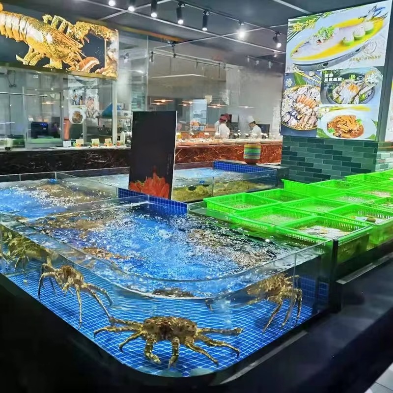 Quadratisches Glas-Süßwasser-A – Marine Aquarium All In One Bewertung und Preis