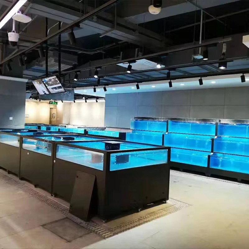 Quadratisches Glas-Süßwasser-A – Marine Aquarium All In One Bewertung und Preis