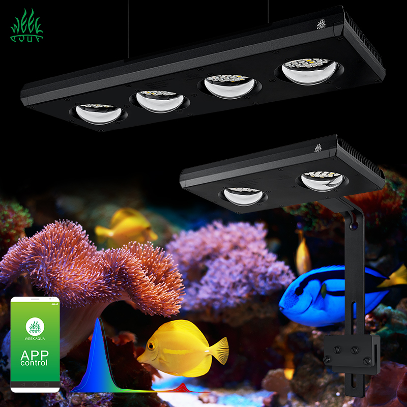 ZXY Heißer Verkauf WEEKAQUA Z2 – Aquarium Blue Marine Bewertung und Preis