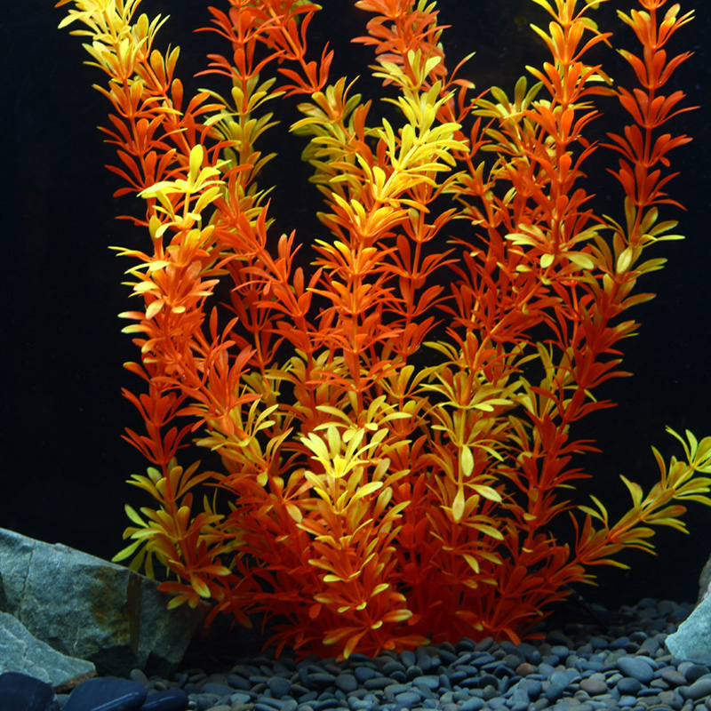 100cm Tropische Pflanzen, Groß – Aquarium Marine Plants Bewertung und Preis