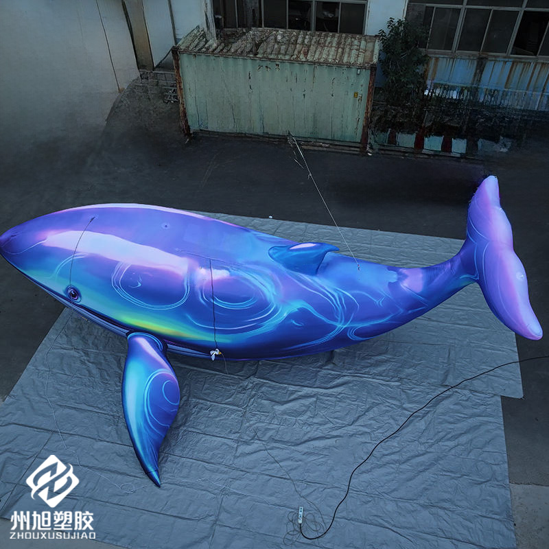 Aufblasbarer Blauwal, als deko – Marine Life Aquariums Bewertung und Preis