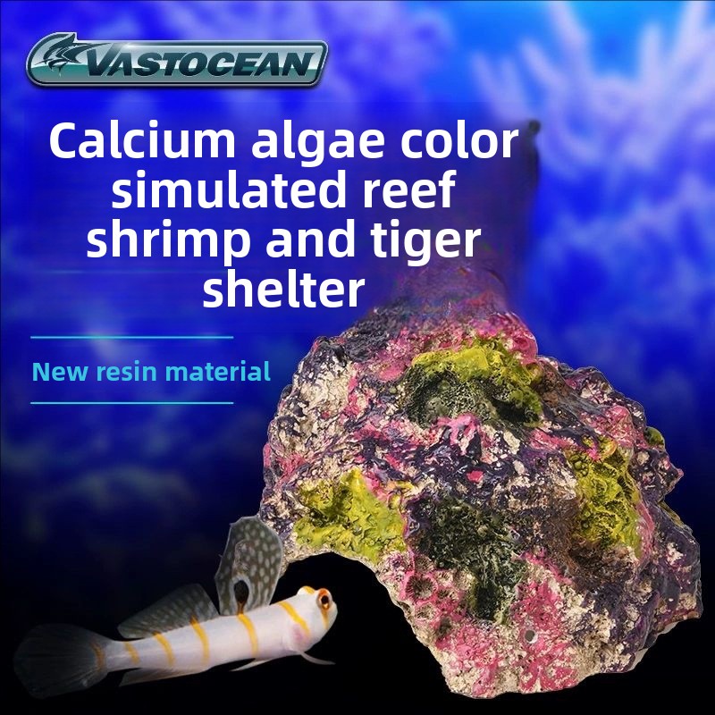VASTOCEAN Salzwasser-Aquarium- – Marine Aquarium Hermit Crab Bewertung und Preis