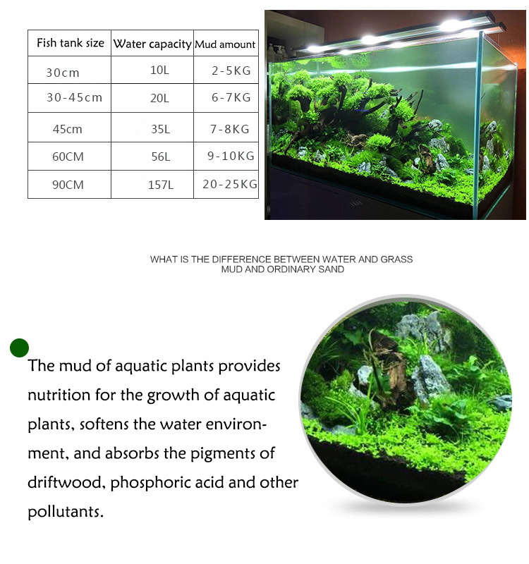 Aquarium Pflanzen Samen Boden  – Aquarium Marine Plants Bewertung und Preis