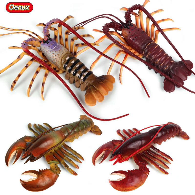 Realistische Meereslebewesen-F – Marine Aquarium Hermit Crab Bewertung und Preis