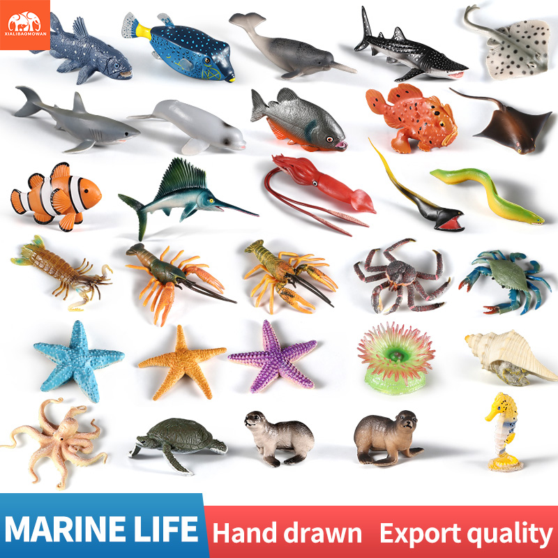 Meereslebewesen Actionfiguren- – Marine Life Aquariums Bewertung und Preis