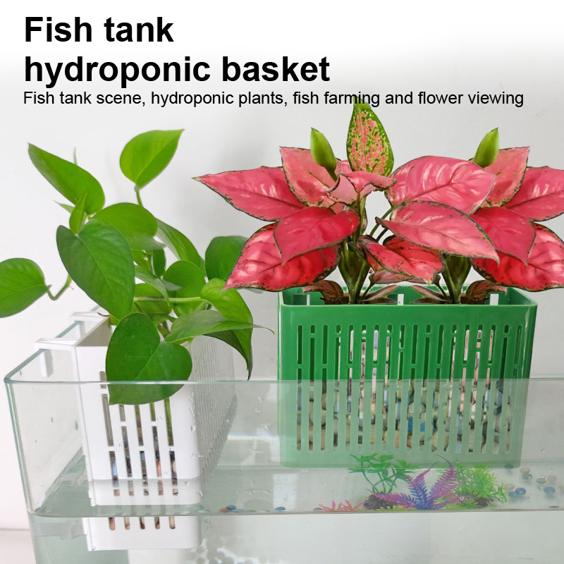 【F】Aquarium-Hängepflanzgefäß,  – Aquarium Marine Plants Bewertung und Preis