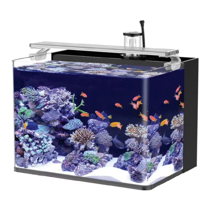 Gebogener Salzwasser-Meerwasse – Marine Aquarium All In One Bewertung und Preis