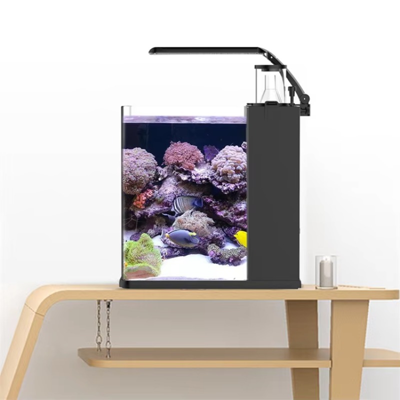 Gebogener Salzwasser-Meerwasse – Marine Aquarium All In One Bewertung und Preis