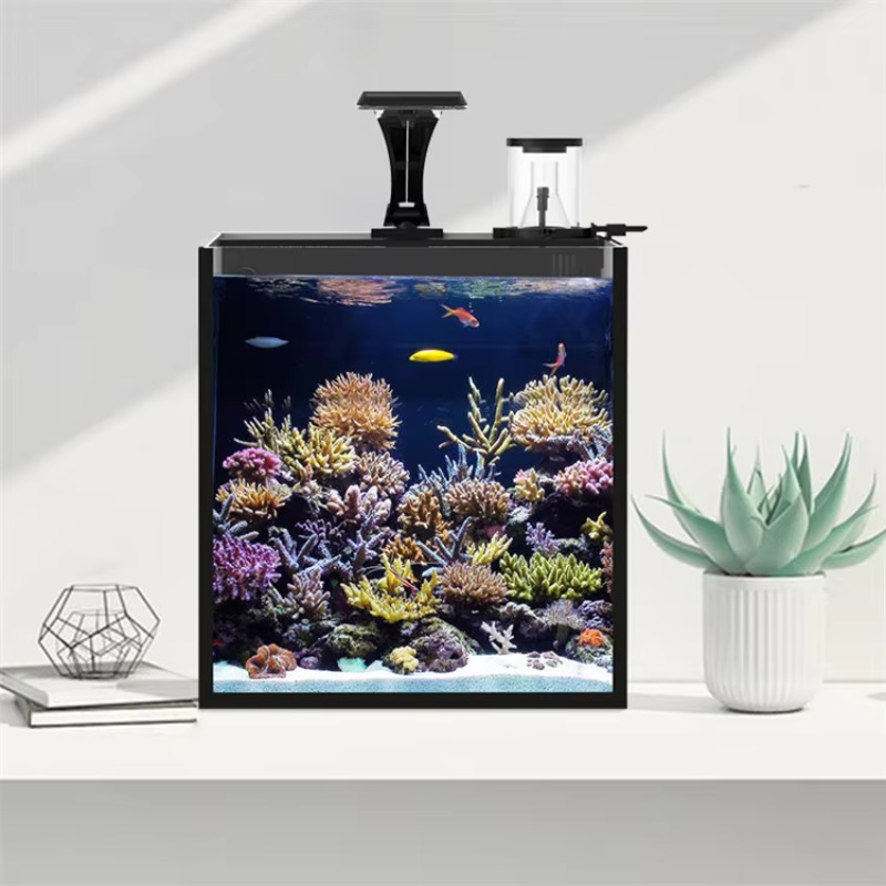 Gebogener Salzwasser-Meerwasse – Marine Aquarium All In One Bewertung und Preis